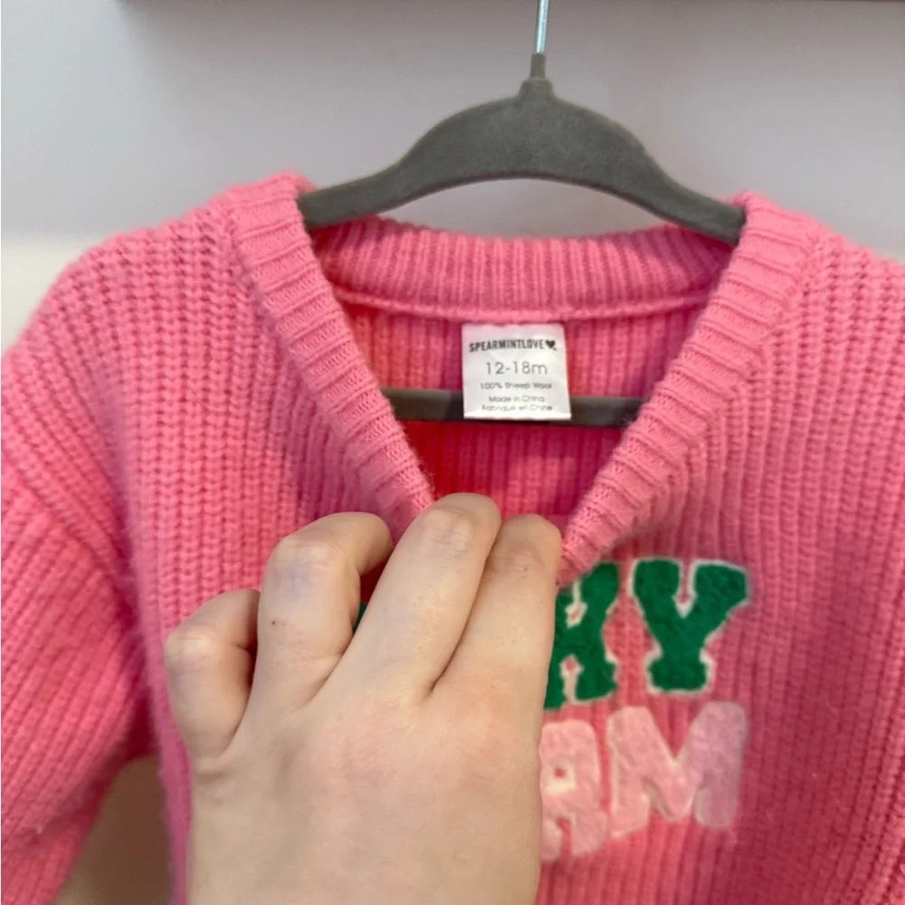 Spearmint Love Lucky Charm Knit Sweater - Picture 3 of 4